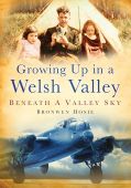 Growing Up In A Welsh Valley: Beneath A Valley Sky PBack